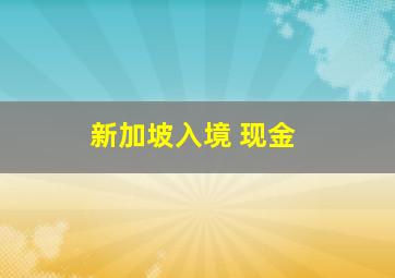 新加坡入境 现金